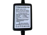 12 Volt 1300Ma Oplader Met Klemmen Voor Loodaccu's. - Afbeelding 5