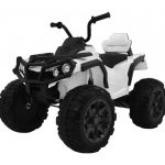 Elektrische Quad, 12 Volt, Rubberen Banden, Met Afstandsbediening