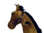 My Pony, Rijdend Speelgoed Paard Van Rollzone ®, 4 - 10 Jaar (Mp2007-M) - Afbeelding 5