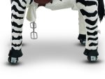 My Pony, Rijdend Speelgoed  Zebra Van Rollzone ®, 3 - 6 Jaar (Mp2001-S) - Afbeelding 5