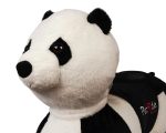 Petride By Rollzone, Elektrisch Rijdende Panda - Afbeelding 6