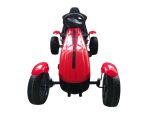 Skelter / Go-Kart / Trap Skelter (Rzgk001) - Afbeelding 2